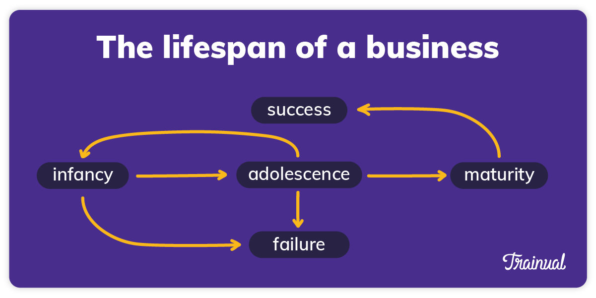The lifespan of a business, according to the E-Myth